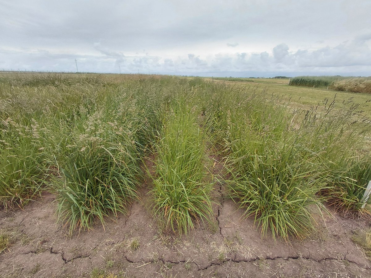Una pruebita de N por si queda duda!