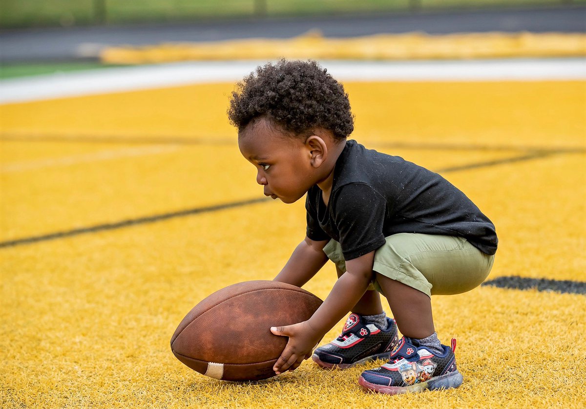 BOFA Pictures tweet media