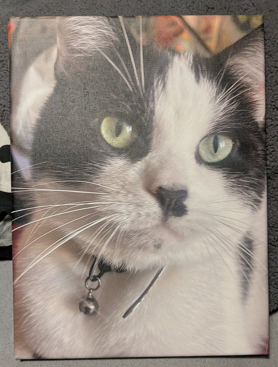 #Hedgewatch Daddy's birthday present has arrived from myself. Mummy is going to help me wrap it...I'm sure you'll agree it's beautiful 💜🐾💜