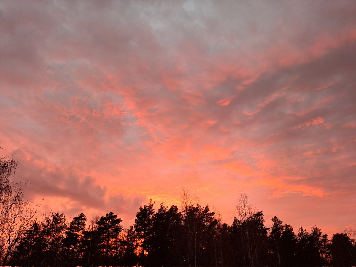 Vekkuli marraskuu: +11C päivän lämpötila ja ilta +8C