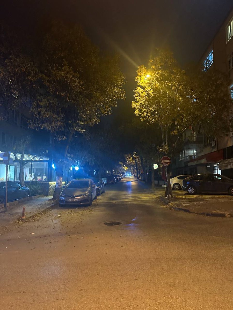 Ankara Üzerine Bir Deneme

Üç günlük Ankara seyahatim dün sona erdi. Pazartesi akşamı gitmiştim, dün döndüm. Son yıllarda Ankara’yı sık sık ziyaret ediyorum; bazen sırf akademik sebeplerle, bazen iş için. Her yıl bir ya da birkaç kez gitmiş oluyorum. Doğrusu, Ankara’yı çok