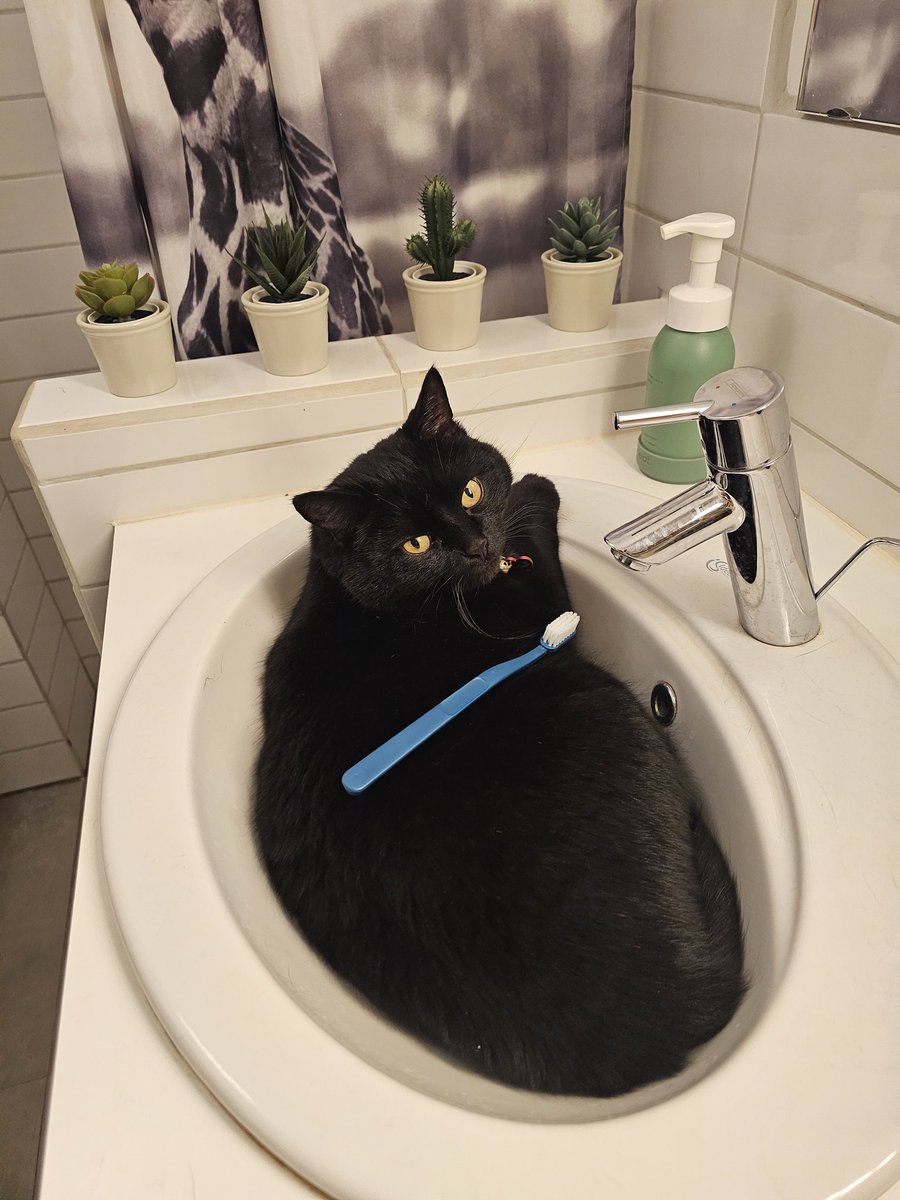 he doesn't want me to brush my teeth
