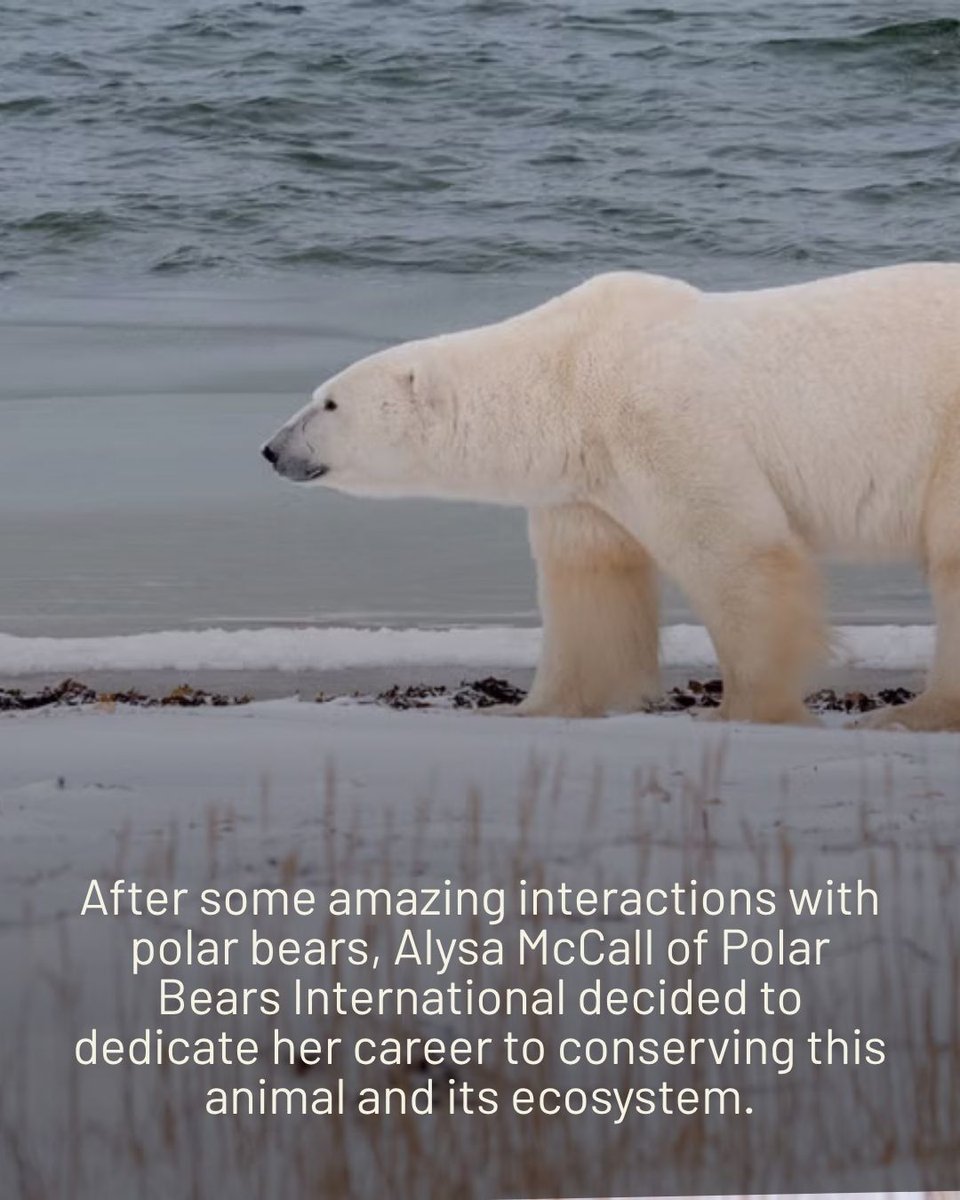 Backpacker Magazine tweet media