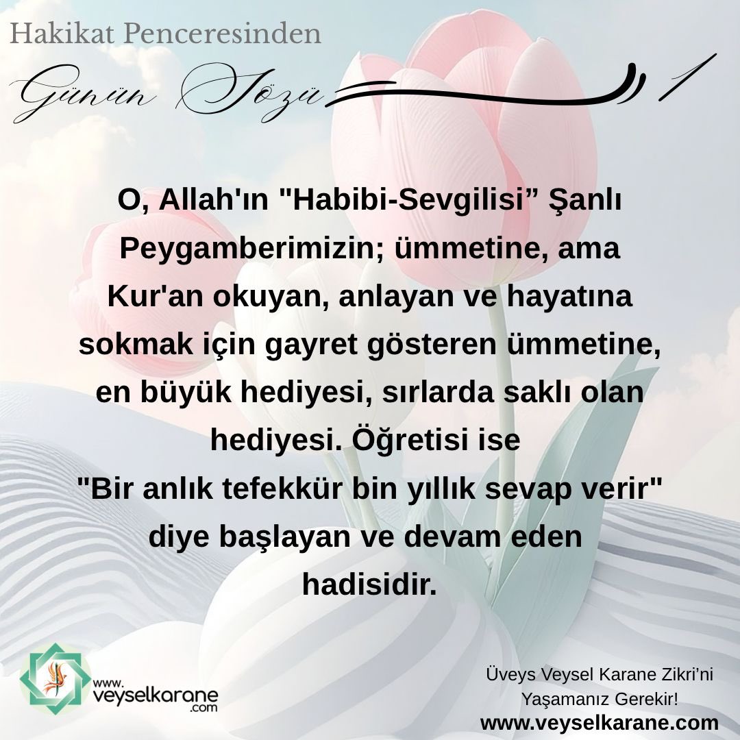 Yurtdışı Üveysleri tweet media