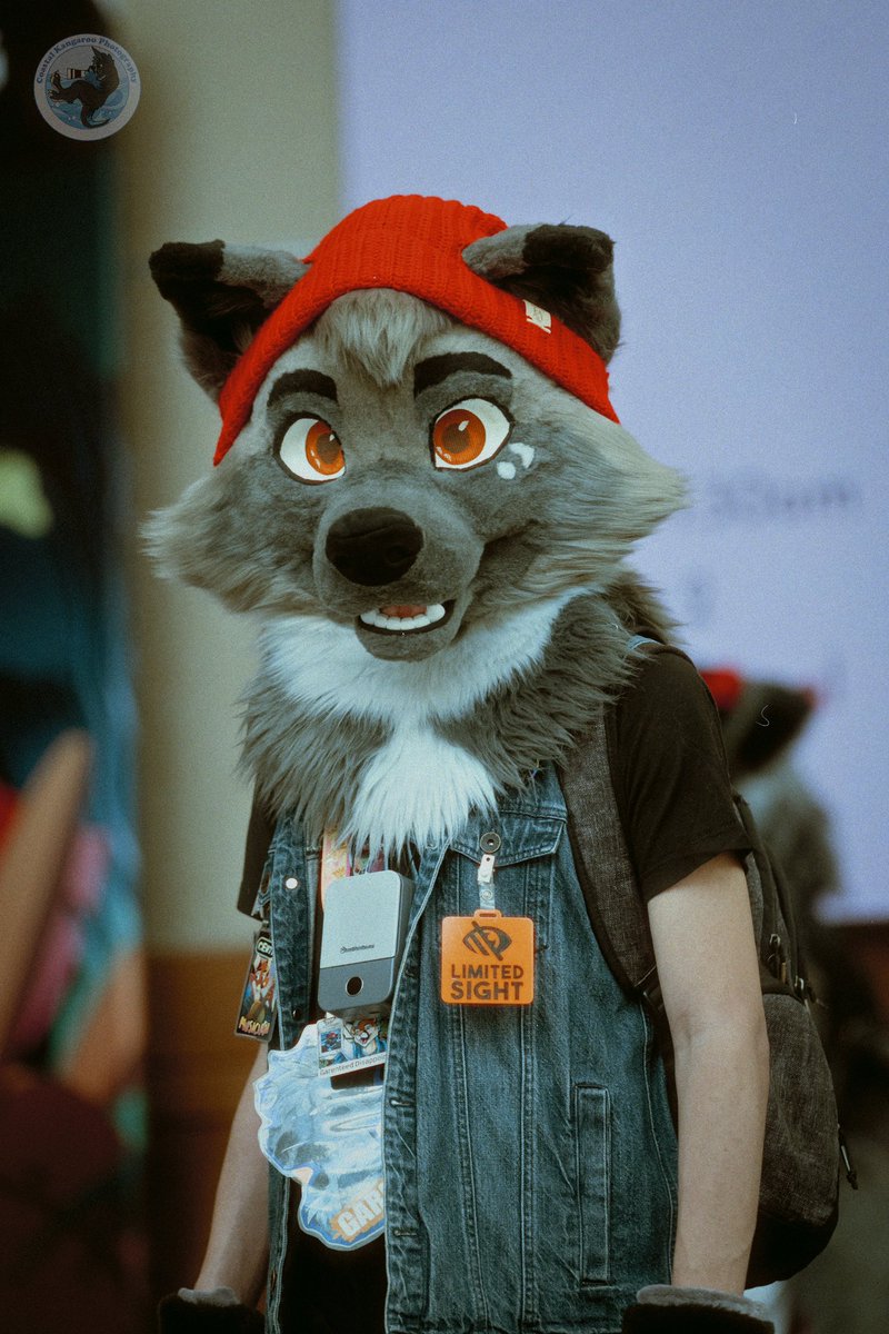 Oh hey, are you lost on #FursuitFriday?
Come on, follow me. It’s this way.

📸: <a href="/CoastalKangaroo/">Sebastian</a>
🪡🧵: <a href="/TheGoldenMaw/">Golden Maw</a> &amp; <a href="/NinaRicciaCrea/">NinaRiccia</a>