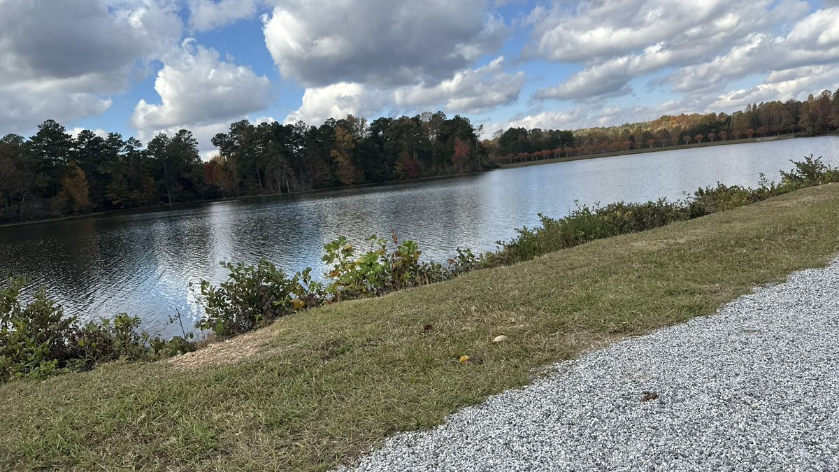 spittywill tweet media