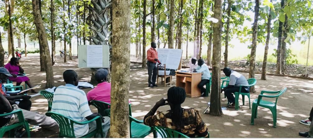 Friends of ZOKA. tweet media