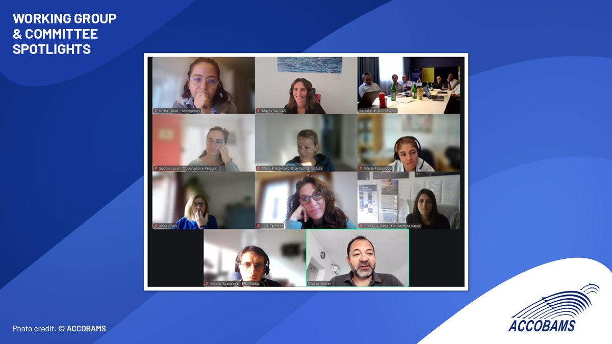 ACCOBAMS's tweet photo. 🌍 Collaboration in action: the ASI-II Preliminary Technical Workshop gathers experts to define survey methods and data protocols for the 2026 Mediterranean campaign.
#ASIII #SurveyDesign #MarineConservation https://t.co/OfFGJMI6l8