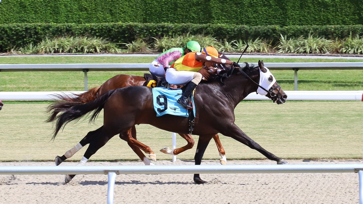 Maktub surges late to spring a surprise in race 2, <a href="/CiprianoGil2/">𝑪𝒊𝒑𝒓𝒊𝒂𝒏𝒐 𝑮𝒊𝒍</a> aboard for trainer <a href="/Fabreu_racing/">F.abreu racing</a>. #GulfstreamPark #SunshineMeet
