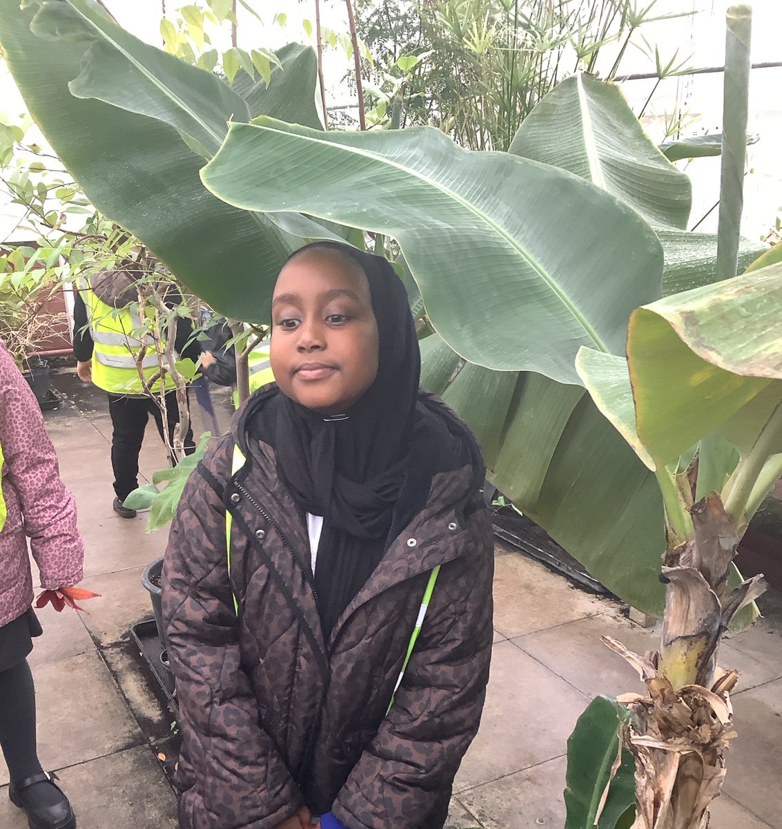 MonaAbd39195307's tweet photo. The children had a chance to explore the Tropical Garden and looked at different types of cactuses. They also looked closely at which plants grow in different kinds of weather. 🌵 🌱 🌴@HazelSchool https://t.co/ocZ90zj1ok