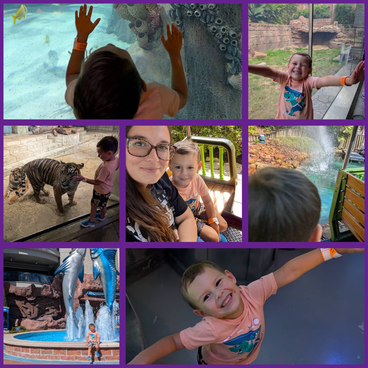 We had lots of fun at the PreK Field Trip <a href="/HumbleISD/">Humble ISD</a> <a href="/HumbleISD_LLE/">Lakeland Elementary</a> <a href="/HumbleISD_PREK/">HumbleISD ECE</a> <a href="/Dschnaibli/">Diana Schnaibli</a>