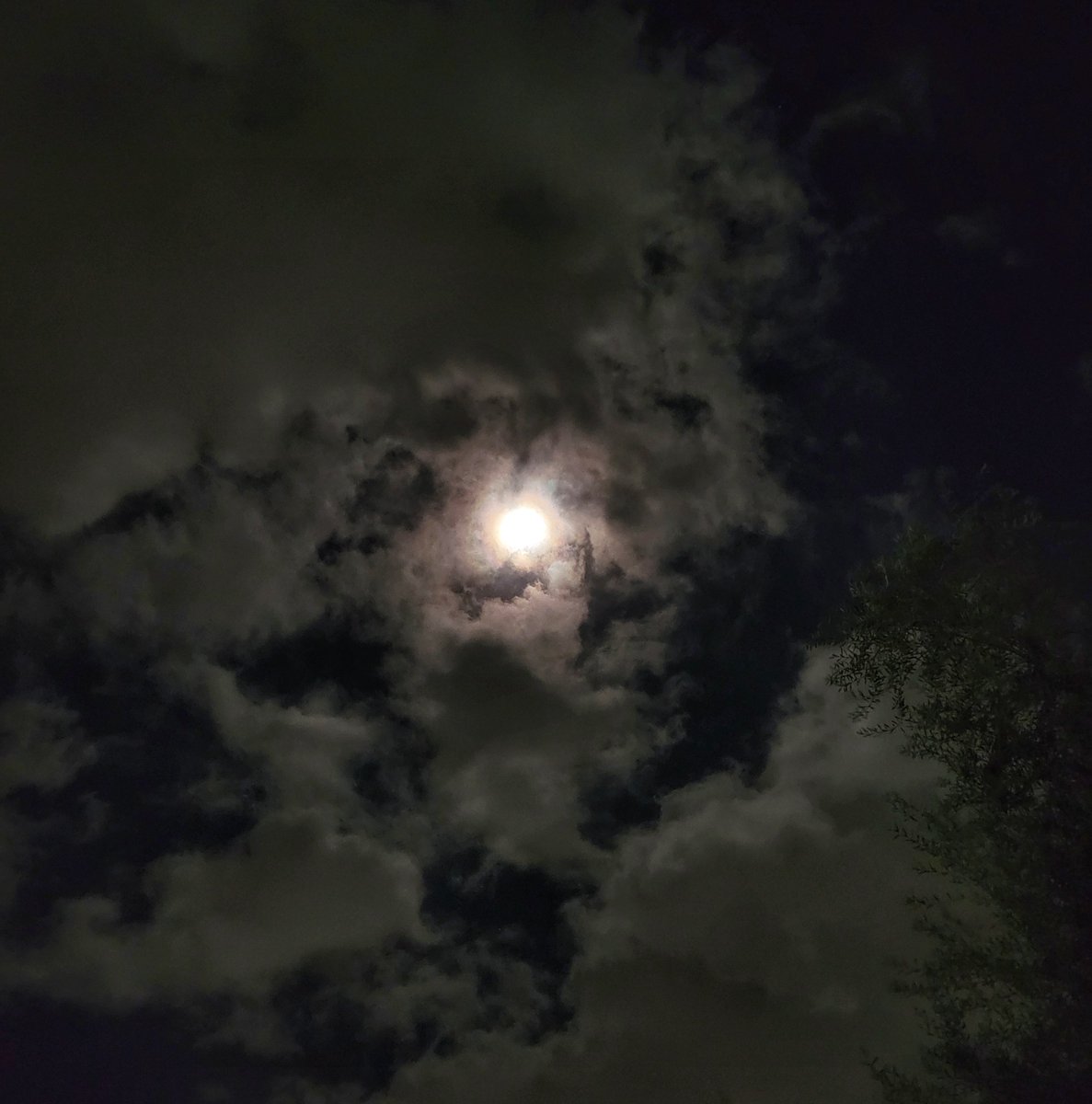 البدر مُلتحِفٌ الغَيم ..