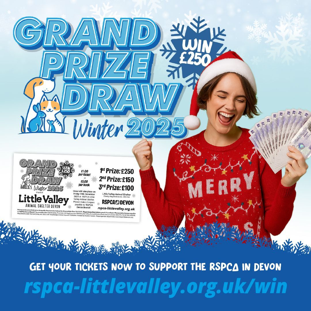🎟️ Win £250, £150 or £100 in our Winter Raffle!
Every £1 ticket helps RSPCA Little Valley care for animals in need 🐾

Get yours by 18 Dec – draw 19 Dec!
👉 rspca-littlevalley.org.uk/win

Or at our shops in Exeter, Budleigh, Newton Abbot, Brixham, Tiverton &amp; Bideford.

#RSPCADevon