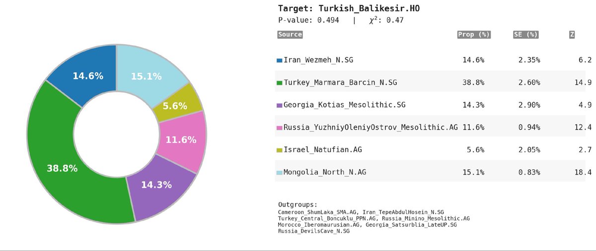 Polat 🗽🏛️ ✹ tweet media