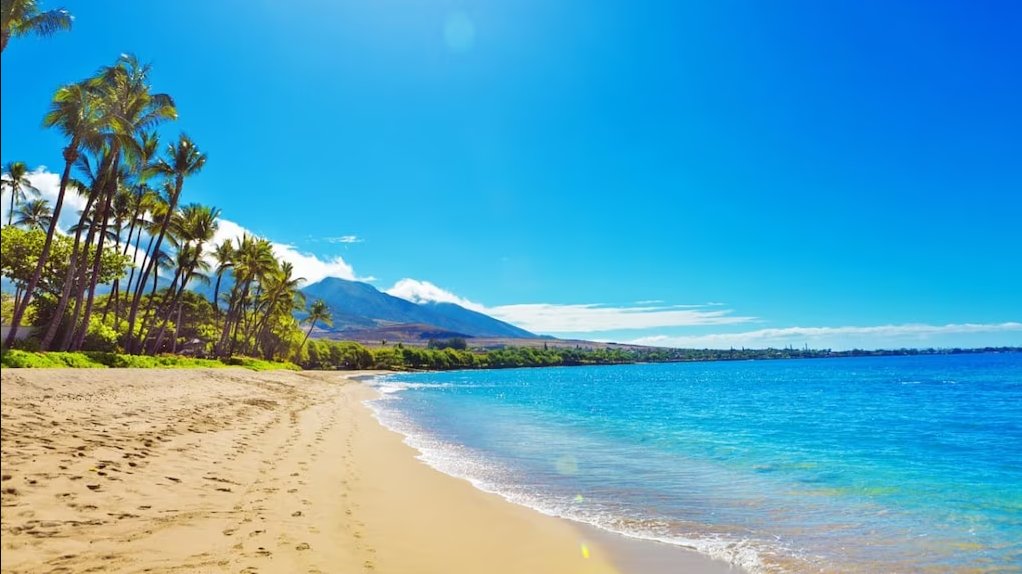 걍 힘들어서 인터넷 여행중
인터넷 여행 : 걍 해외 사진 띄워놓고 여행하는 기분내기