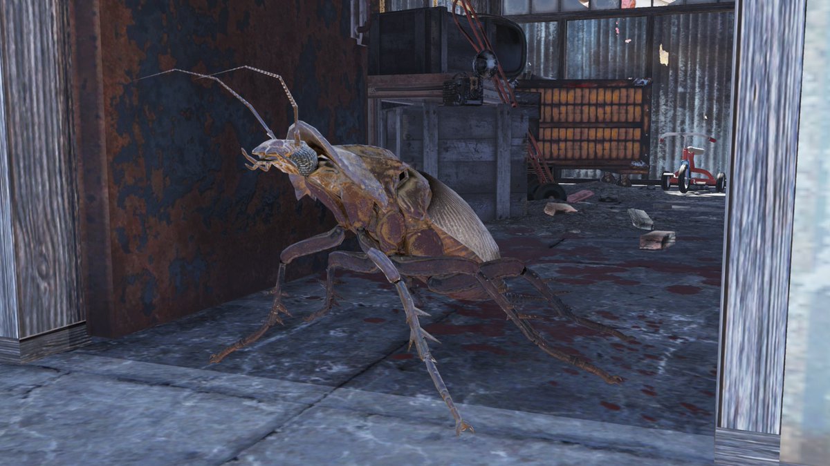 There's only one radroach that I want a photo with.

#Fallout76 #Fallout #PhotoModeFriday