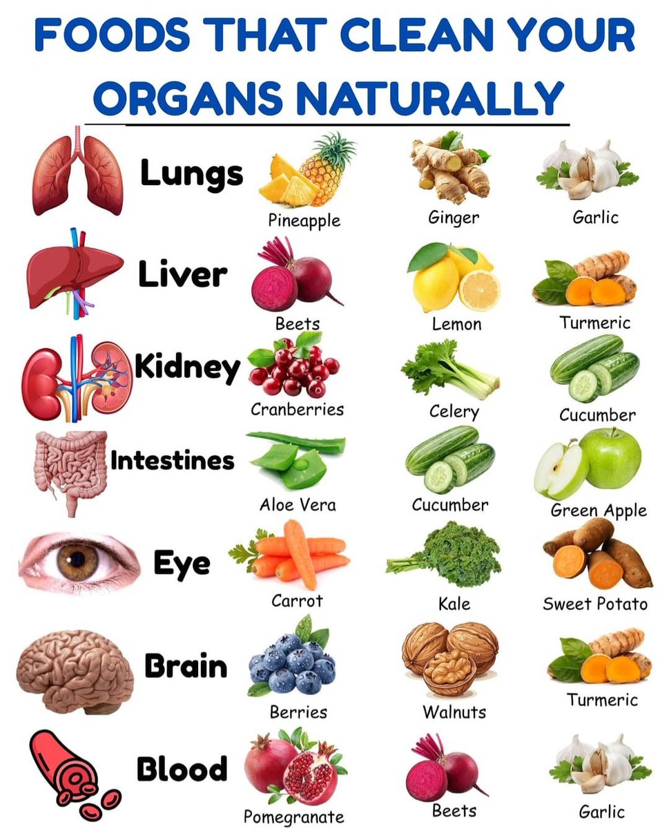 healthybodyhub_'s tweet photo. FOODS THAT CLEAN YOUR ORGANS NATURALLY 🫁 https://t.co/aOIkA5N0TX