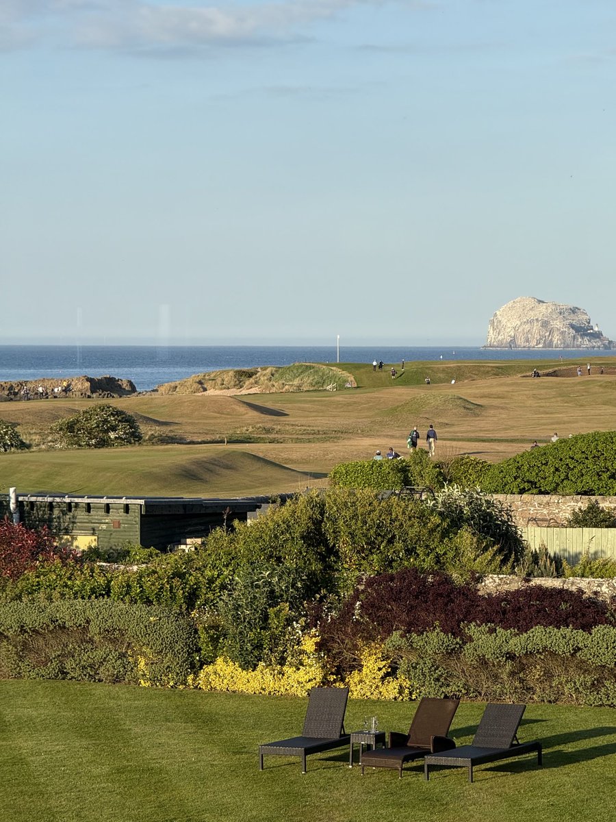 Jay McCarthy tweet media