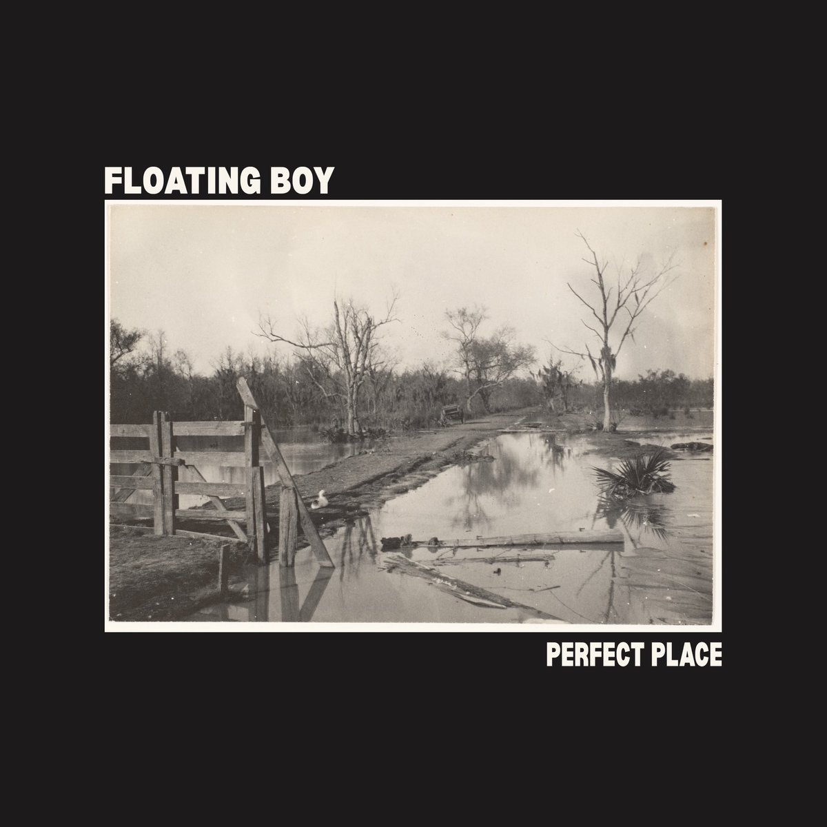 𝗳𝗹𝗼𝗮𝘁𝗶𝗻𝗴 𝗯𝗼𝘆 tweet media