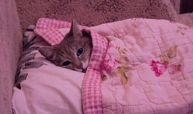 Good night 😴 🥱 🌃