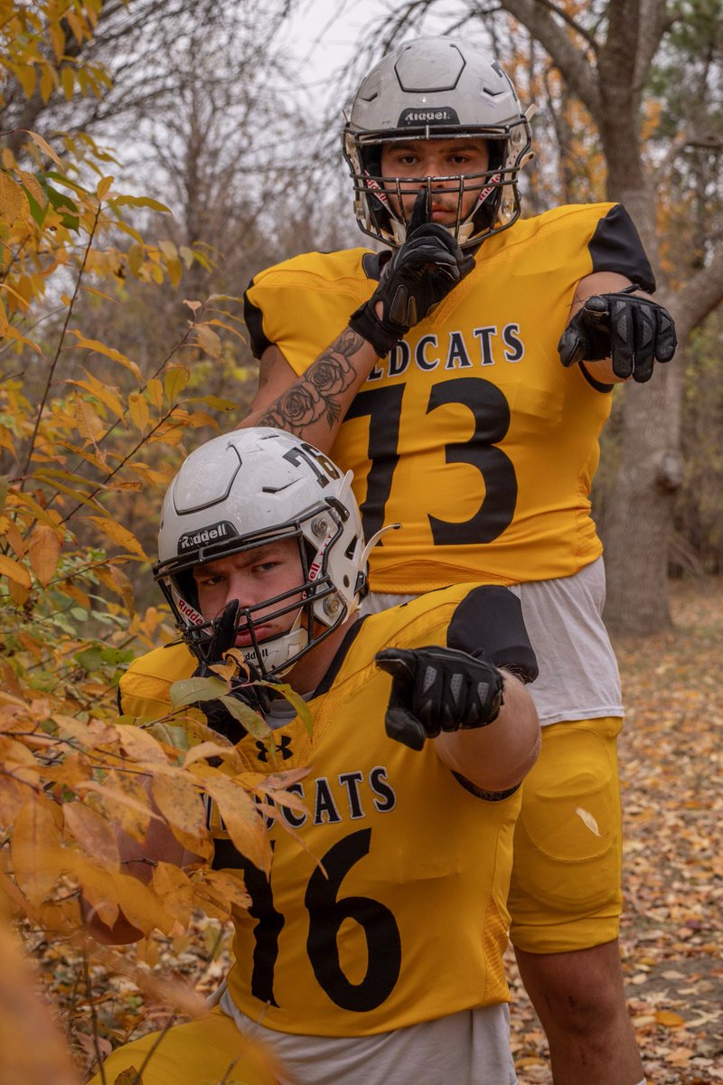 Wayne State Football tweet media