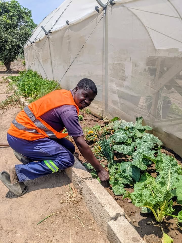 AEProgram's tweet image. From student to true changemaker! Sweady’s impressive journey from our Learning &amp;amp; Leadership Center to The Kia Garden is proof that passion and dedication drive real sustainability. We’re proud of his unwavering commitment to urban farming and leading the way to a greener future…