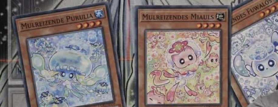 Common Charity tweet media