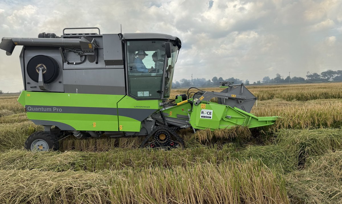 2025 Arkansas Rice Performance Trial Results:
arkansascrops.uada.edu/posts/crops/ri…

Includes ARPT and planting date studies, cultivar descriptions, &amp; disease ratings.