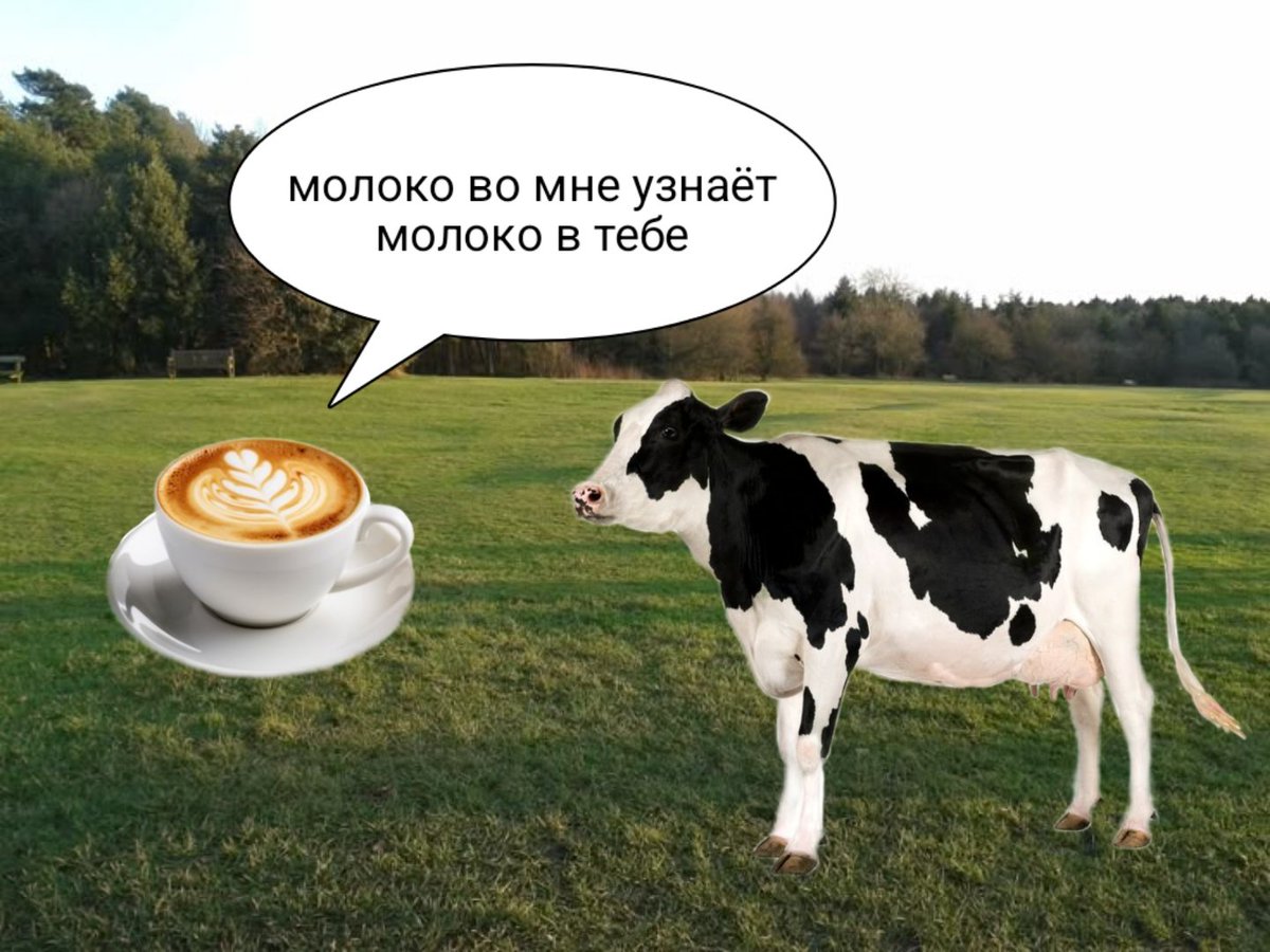 этот мем приснился мне во сне, так что у меня не оставалось выбора кроме как сделать его