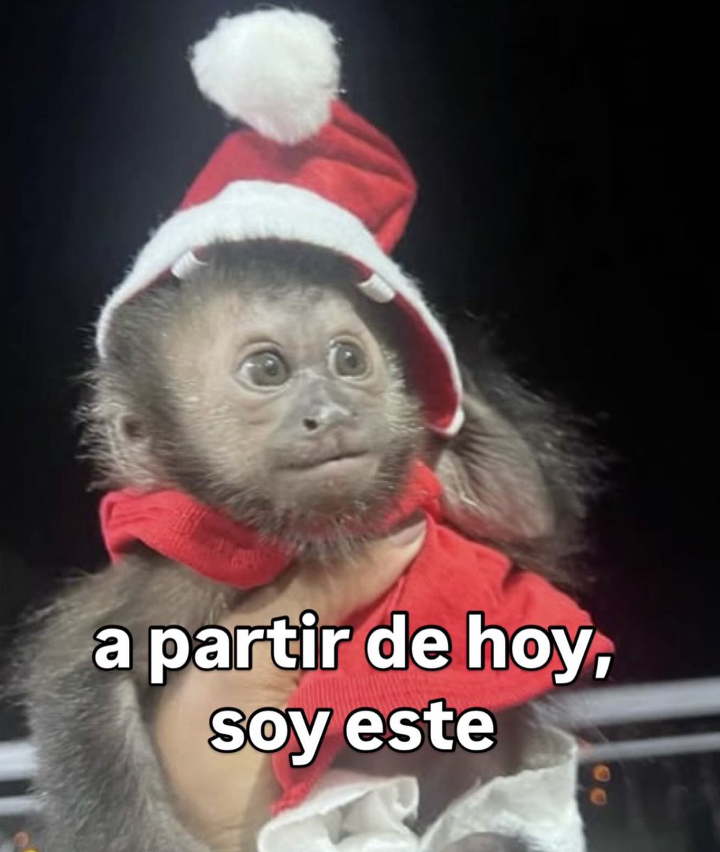 skereunpesado's tweet photo. https://t.co/rRebJOHOOP