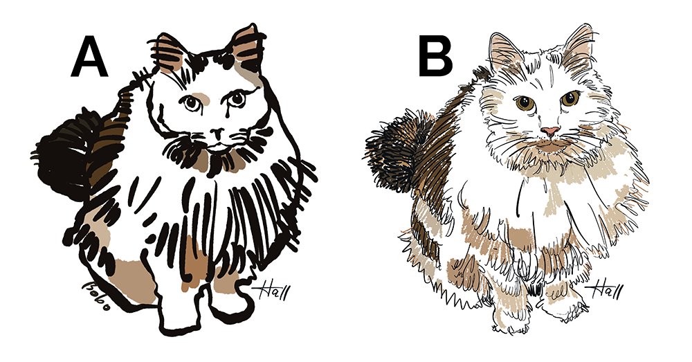 HallCreativeFL's tweet image. Need Help:
Which cat drawing style do you like best?
Both of my drawings show the same cat — just different styles.
A — Bold, sketchy, graphic.
B — Detailed, soft, lifelike.

If you were ordering a drawing of your pet, which would you pick — A or B?