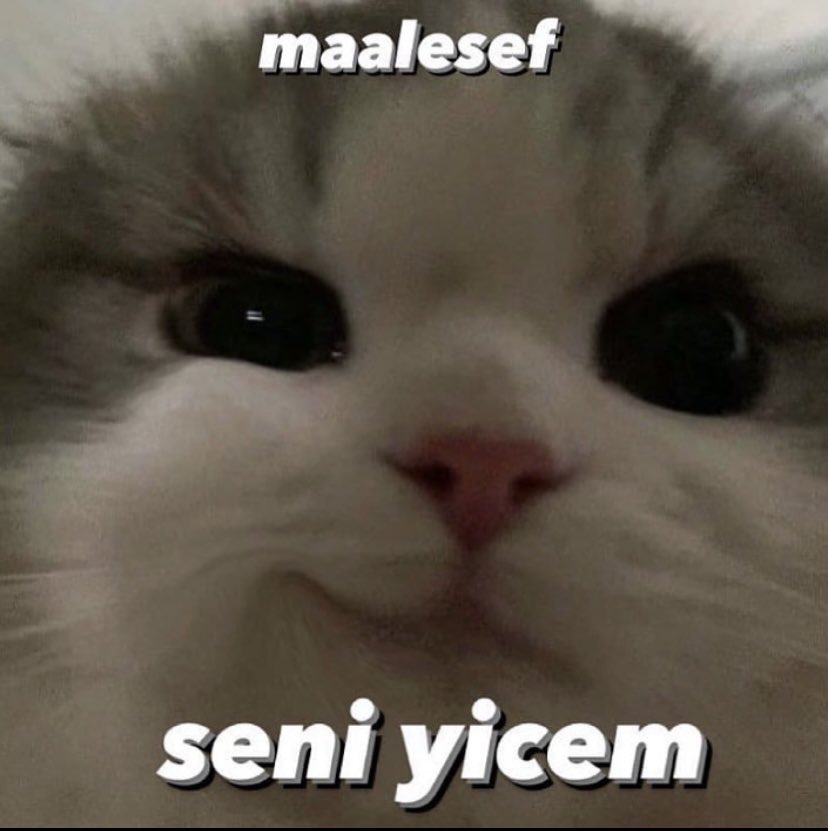 bana kendimi özel ve hissettiren kişiye karşı