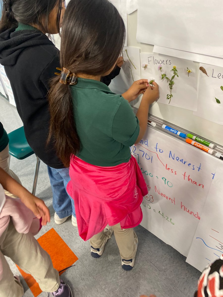 The Return of MrsLenard🎉 tweet media