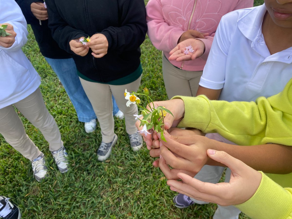 The Return of MrsLenard🎉 tweet media