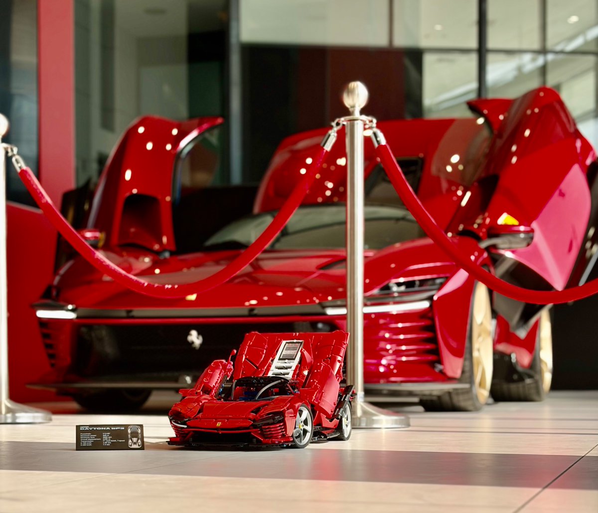 エドワード🇮🇱 tweet media