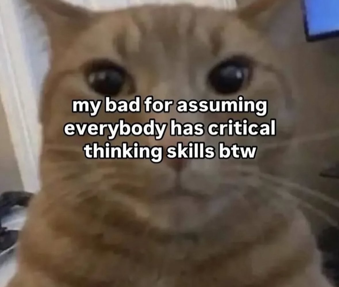 LiterallyMeCats (@literallymecats) on Twitter photo 