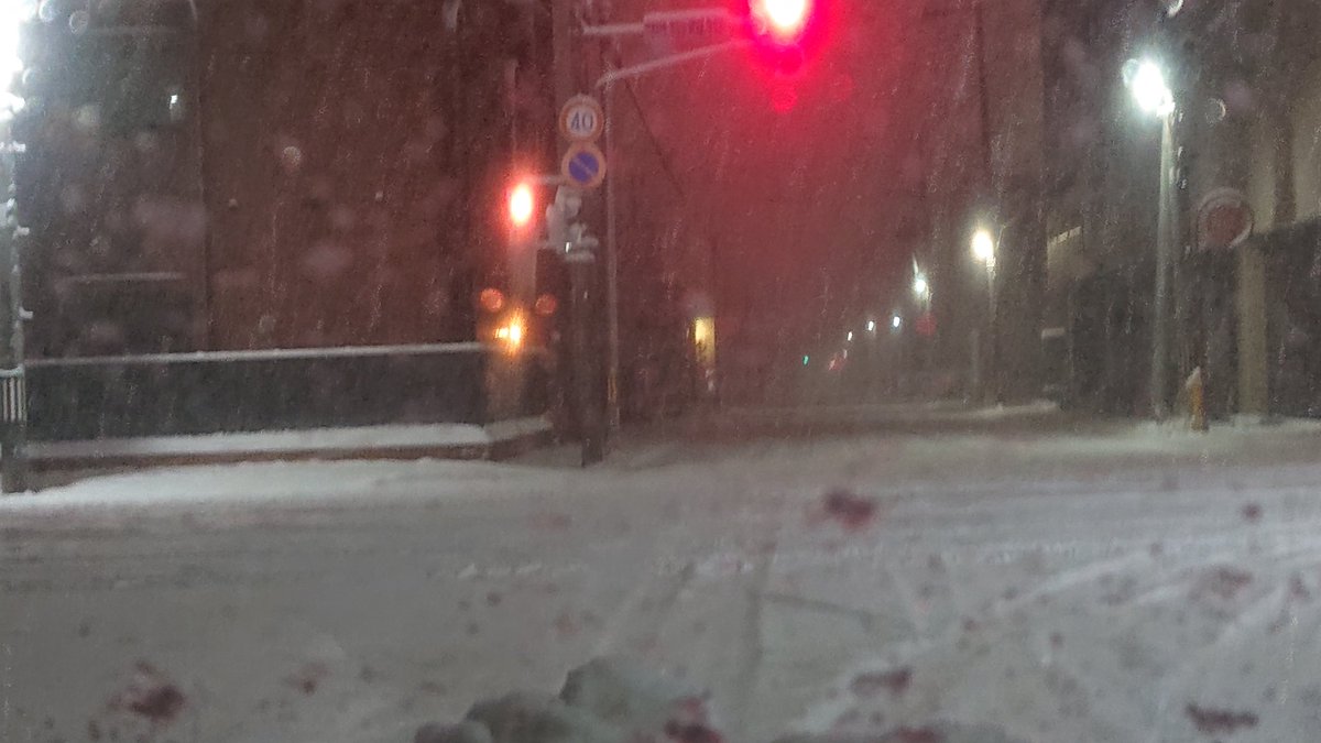 クマʕ•ᴥ•ʔ先生🍜 on X