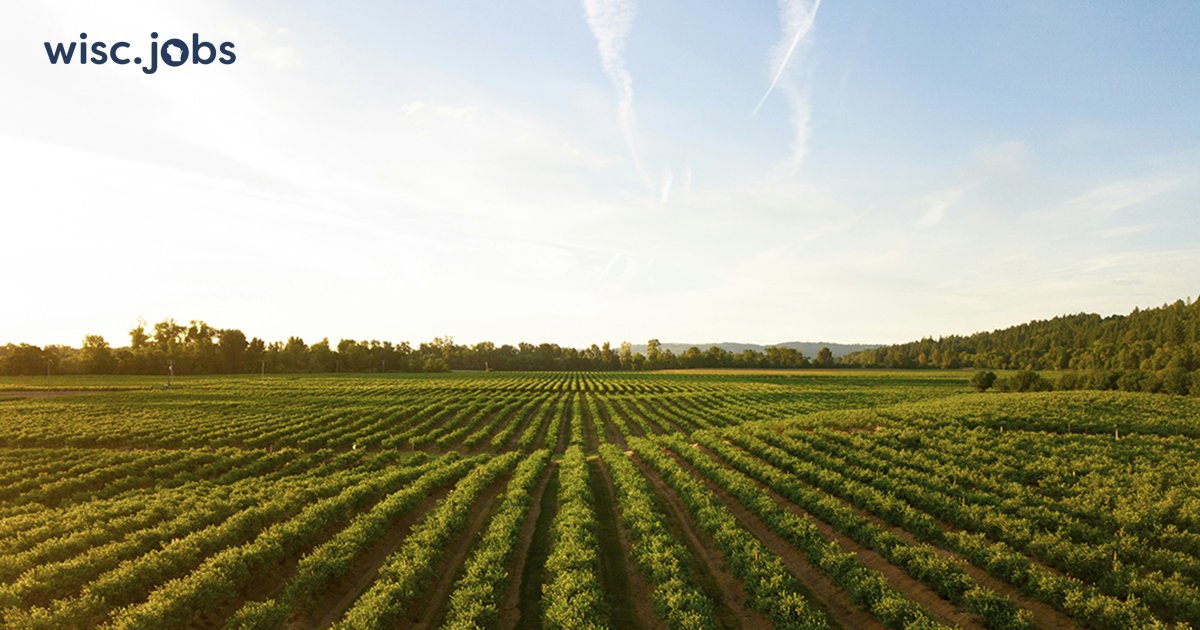 Dodge County is hiring a #Conservationist to manage administrative oversight, visioning, leadership &amp; planning of the #LandConservation Dept, which includes Soil &amp; Water Conservation. $44.76-$49.33/hr +benefits. Apply by 11/12. #WIjobs #govjobs ow.ly/YASX50Xo2Lv