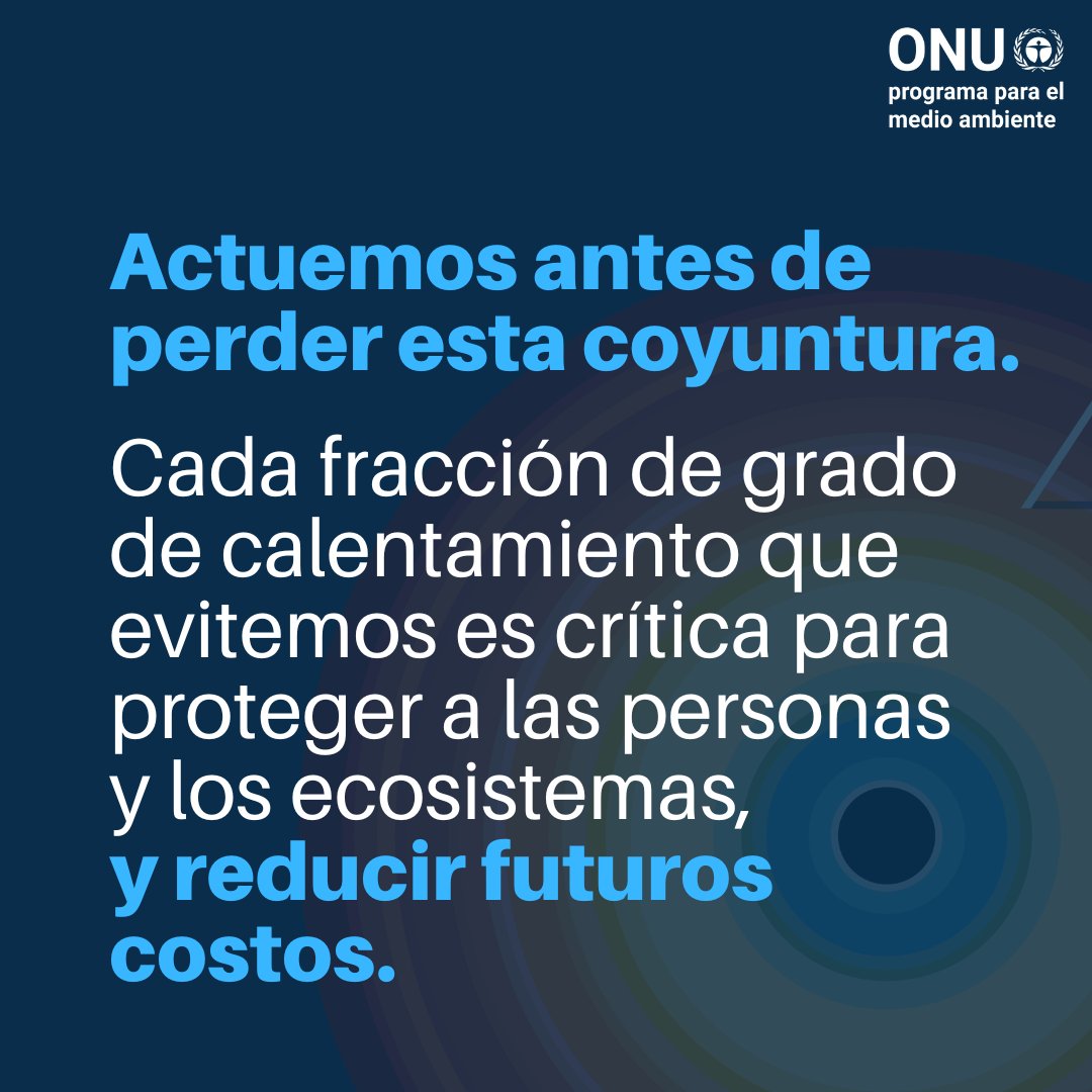 Programa ONU Medio Ambiente tweet media