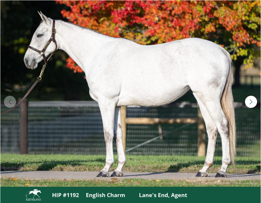 ThoroughCrowd tweet media