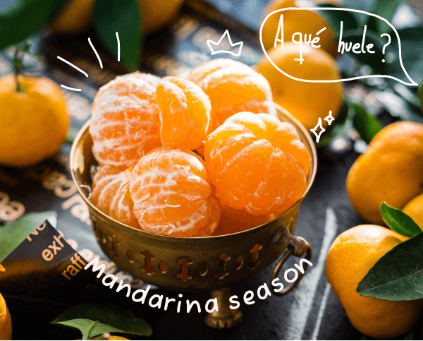 NaranjasYa's tweet photo. Ya están aquí las MANDARINAS - https://t.co/mrF4qljWOh https://t.co/wgNwK2zYn2