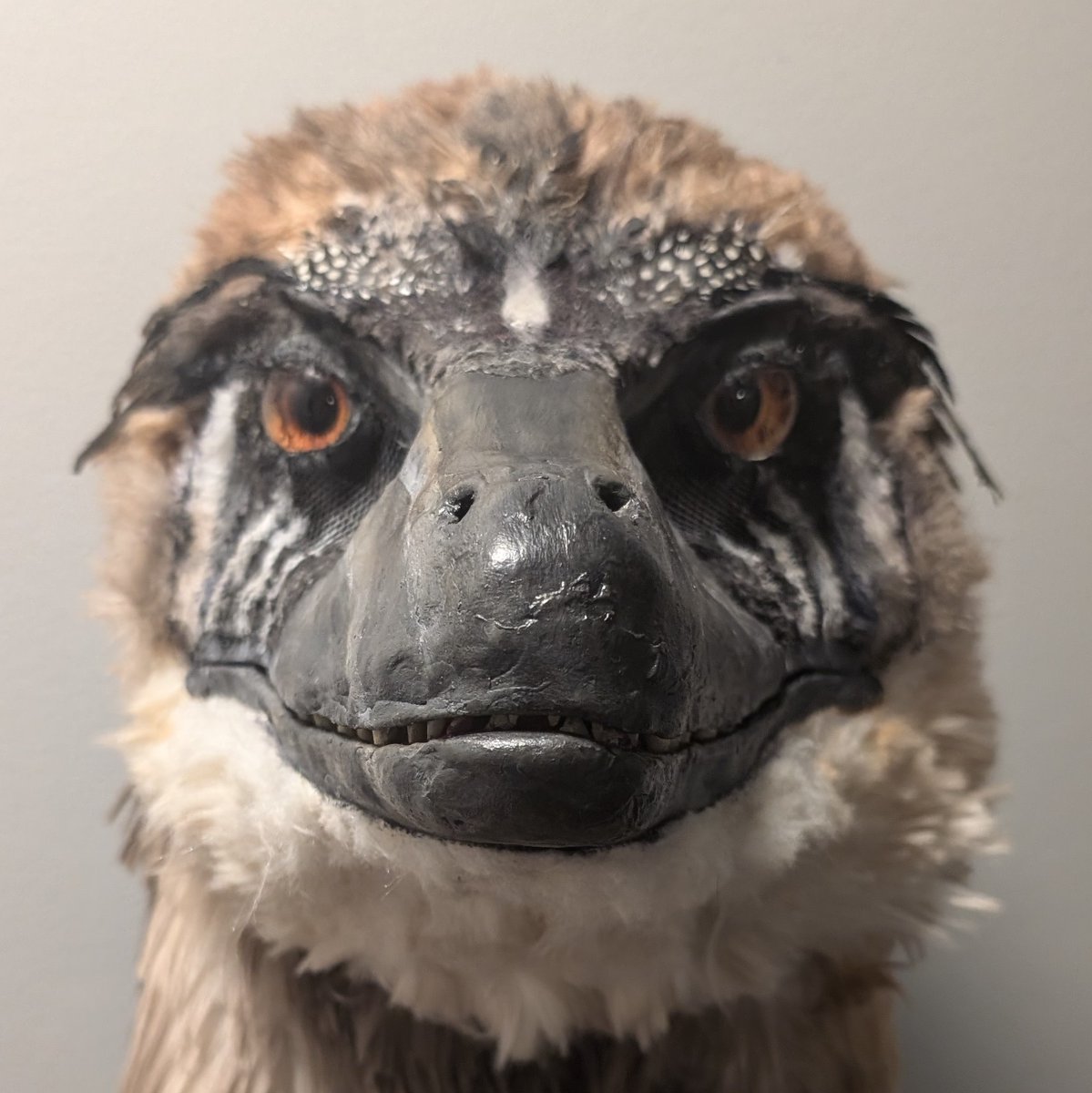 Make ZERO thirst traps involving your pets please.