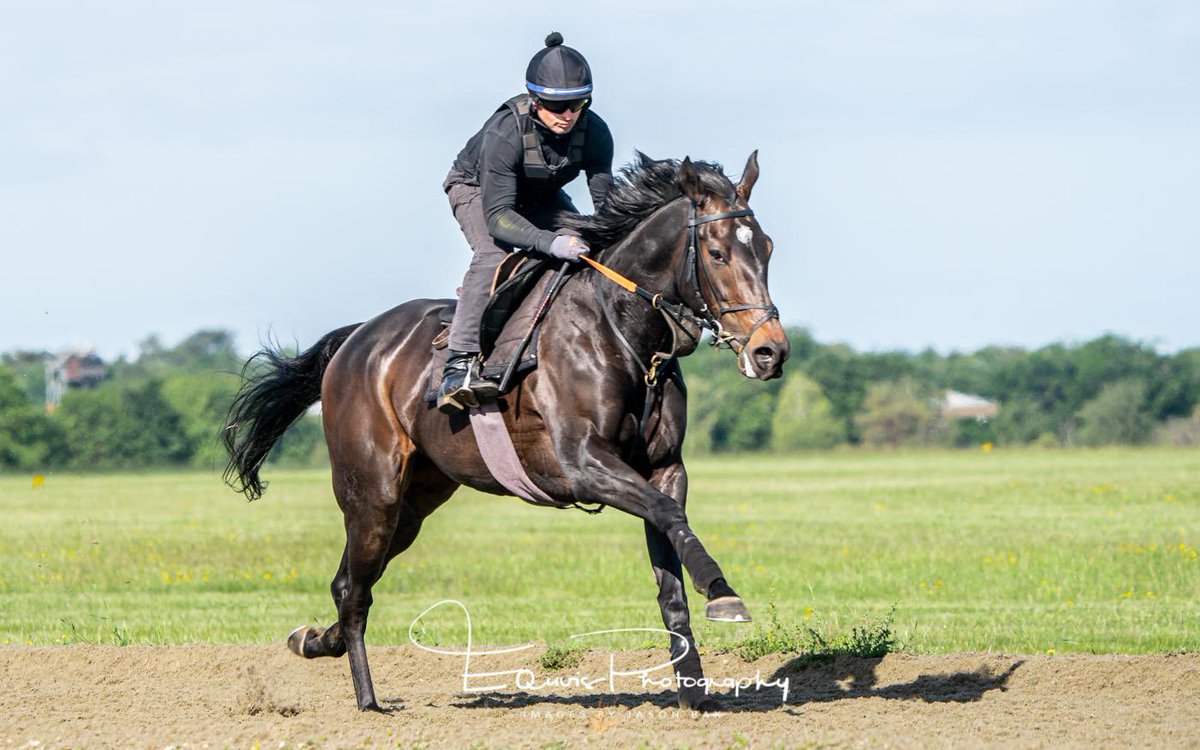 Amy Murphy Racing tweet media
