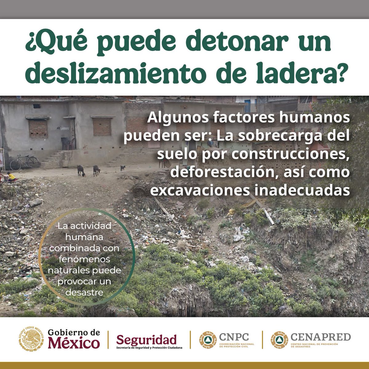 Evita construir o excavar en zonas con pendientes pronunciadas 🏗️🌧️. La deforestación y el mal manejo del suelo incrementan el riesgo de deslizamientos. Actuar con prevención protege vidas y comunidades.