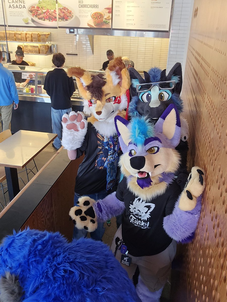 animals in the chipotle