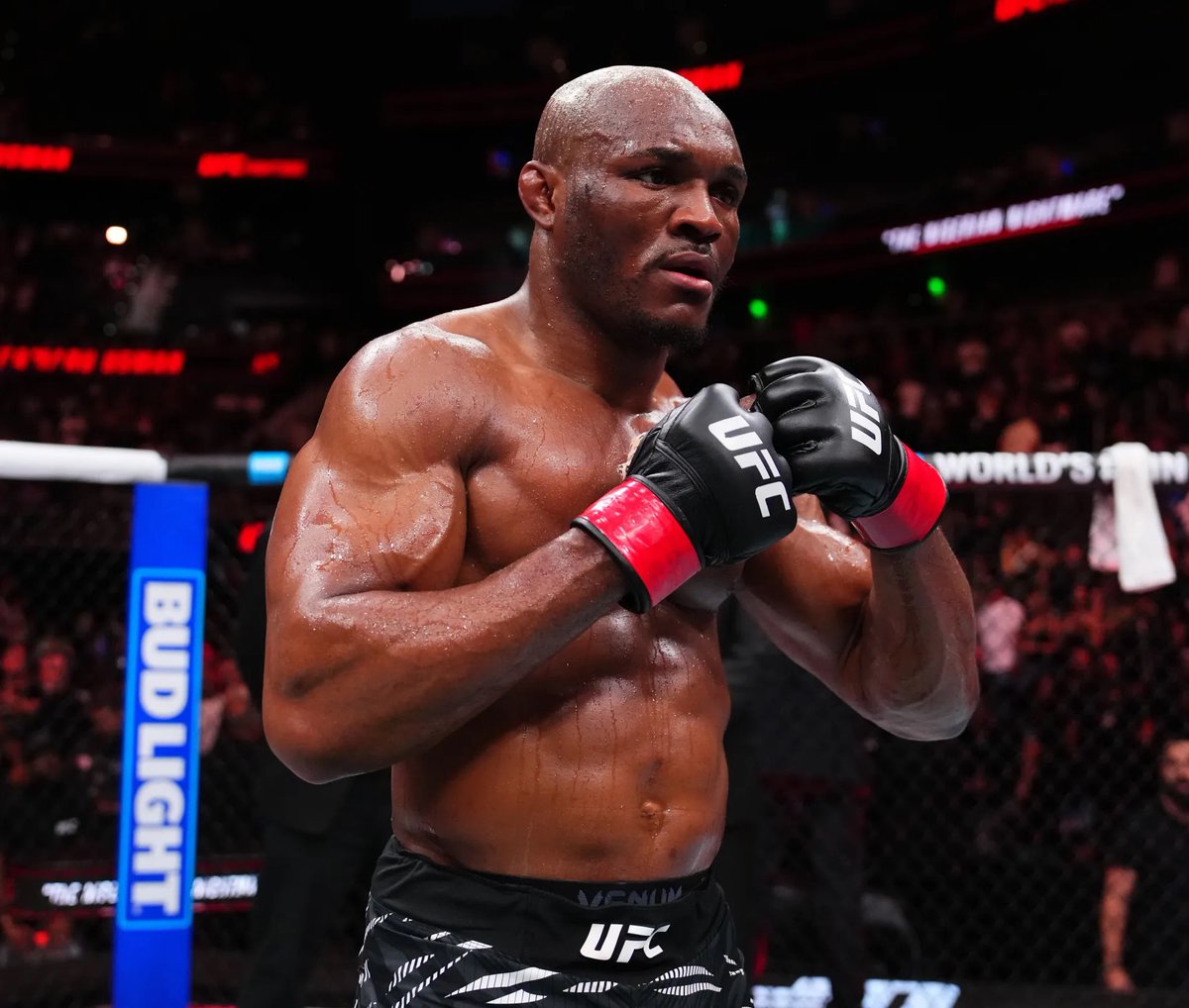 Dovy🔌 tweet media