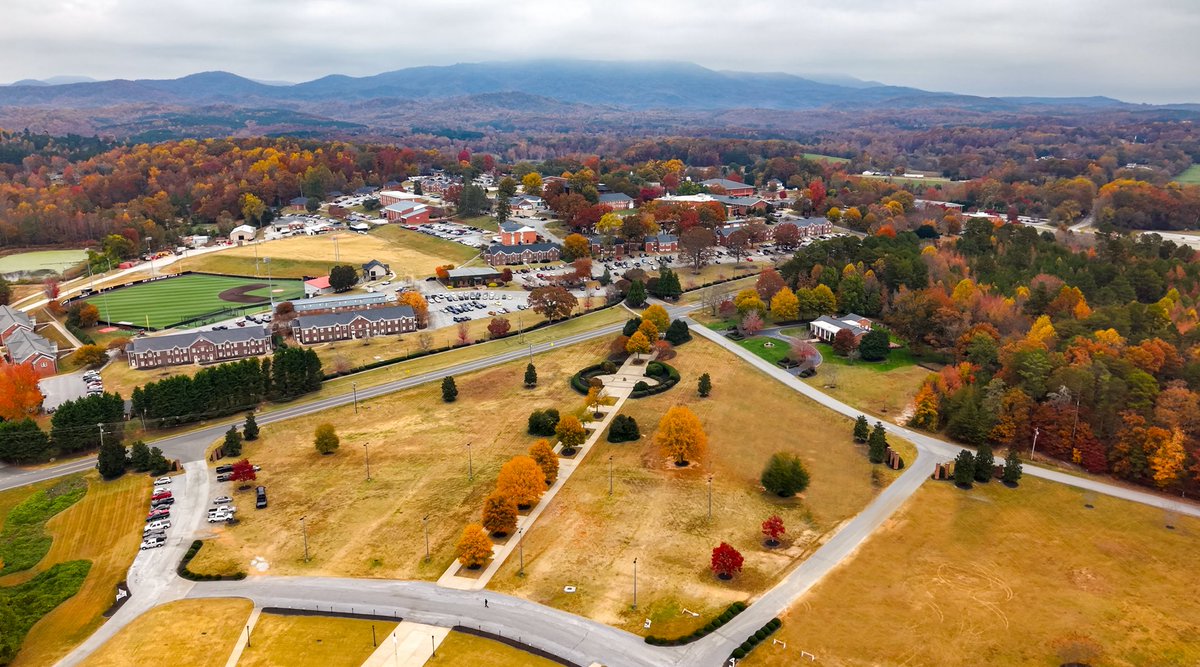 Autumn in Tigerville is an absolute work work of art. #ForTheVille