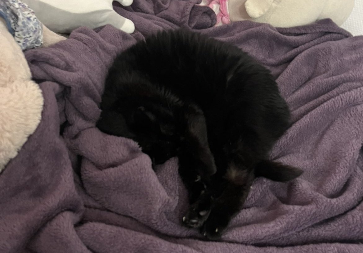 Mathookee's tweet image. 