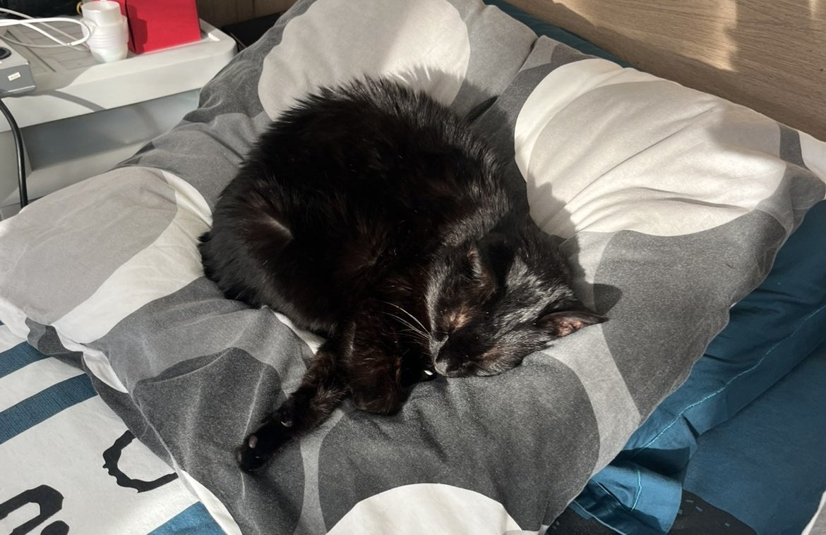 Mathookee's tweet image. 