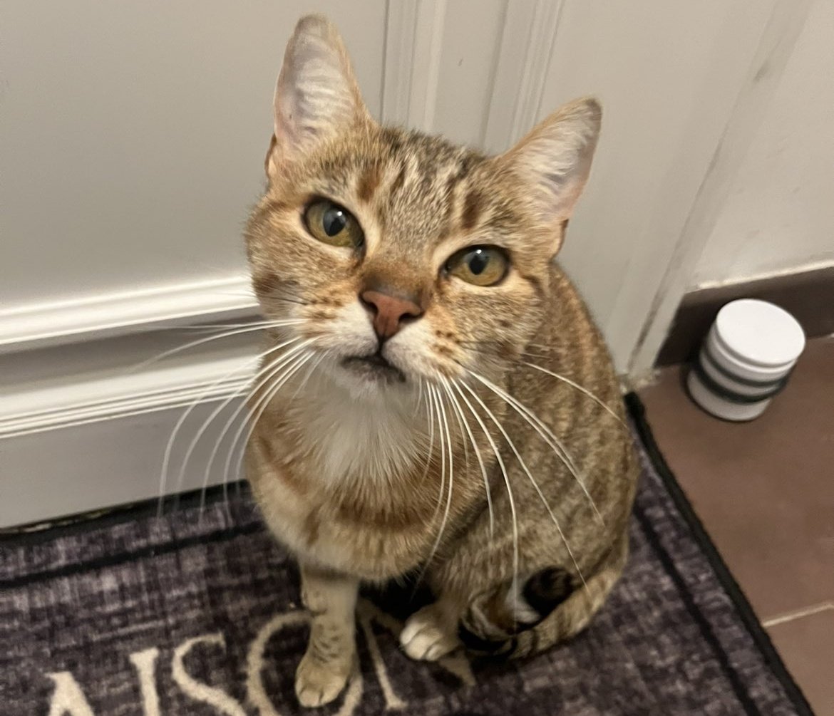 Mathookee's tweet image. 